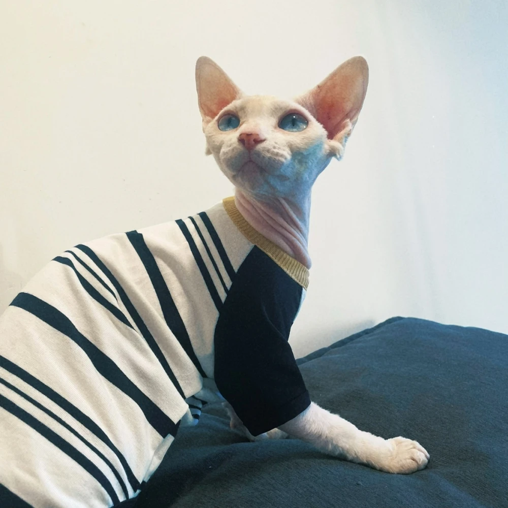 Black Cotton Shirt for Sphiynx Cat Long Sleeves Striped Coat for Kittens Dogs Summer Soft Loungewear for Devon Rex Cat Supplies