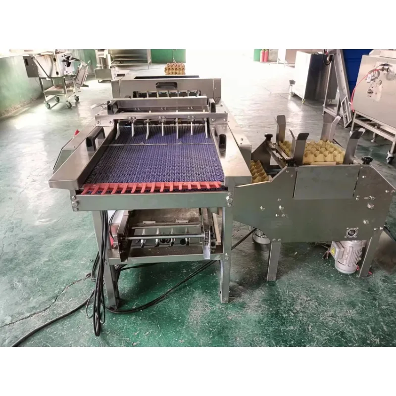 2025 مصنع بيع آلة تعبئة مزرعة البيض آلة صينية البيض الأوتوماتيكية بالكامل آلة تعبئة مزرعة البيض