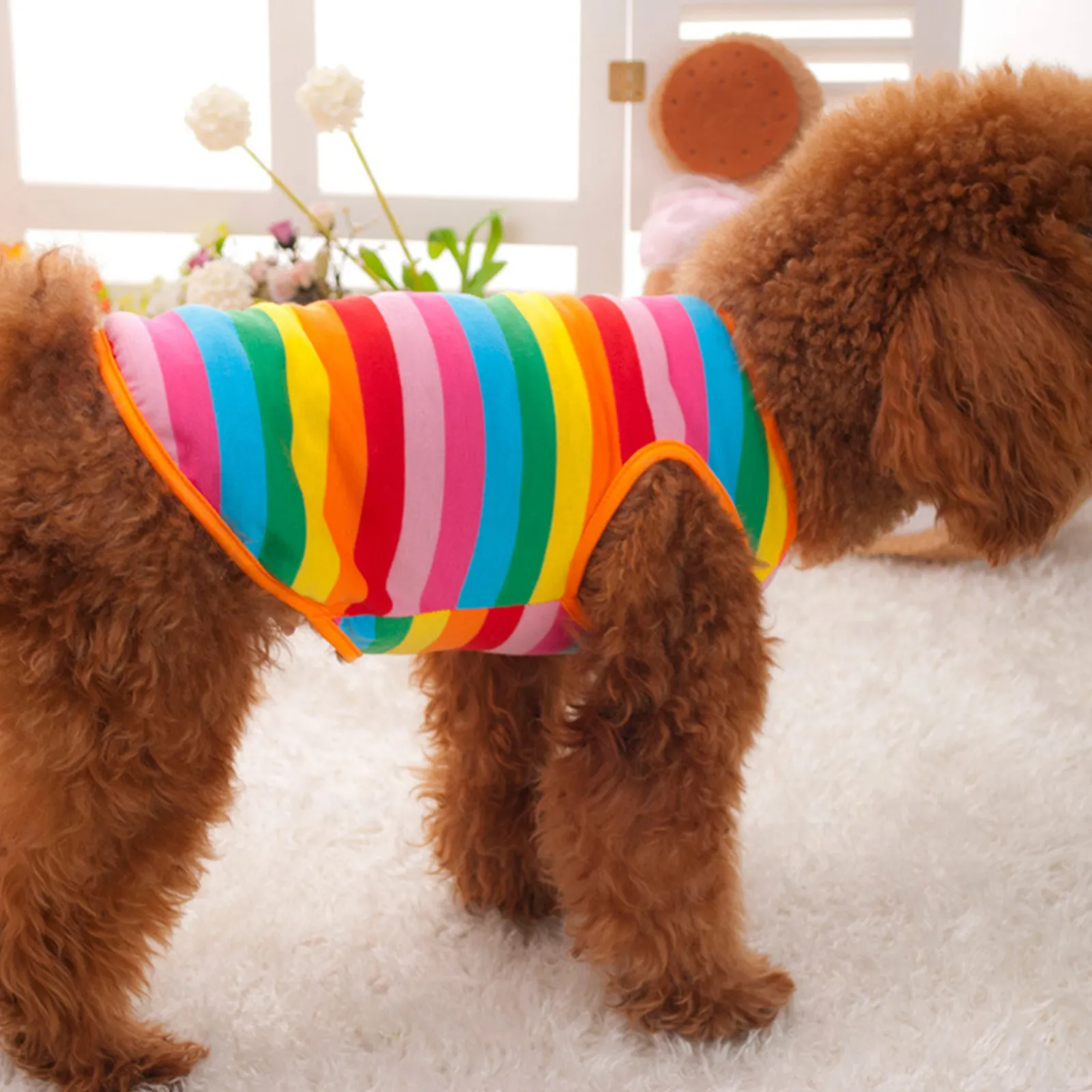 Dog Puppy Dress Rainbow Stripe Size Summer Pet Clothes Vest Shirt Fashion Design for Outdoor and Photo Taking