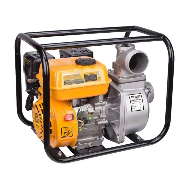 High Flow Water Pump 6.5HP 7.0HP Water Pump High Flow Irrigation Pump for Farm Use