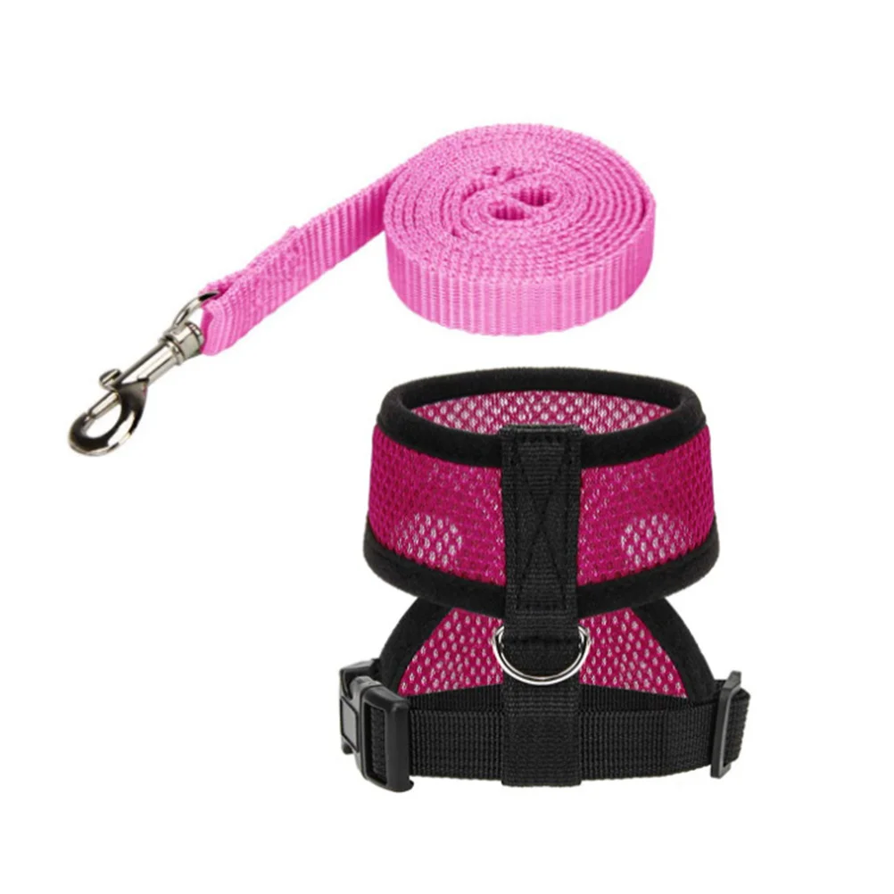 

Rooster Harness with Leash Chicken Pet Vest Comfortable Secure Fit for Training Walking in Parks Outdoor Areas