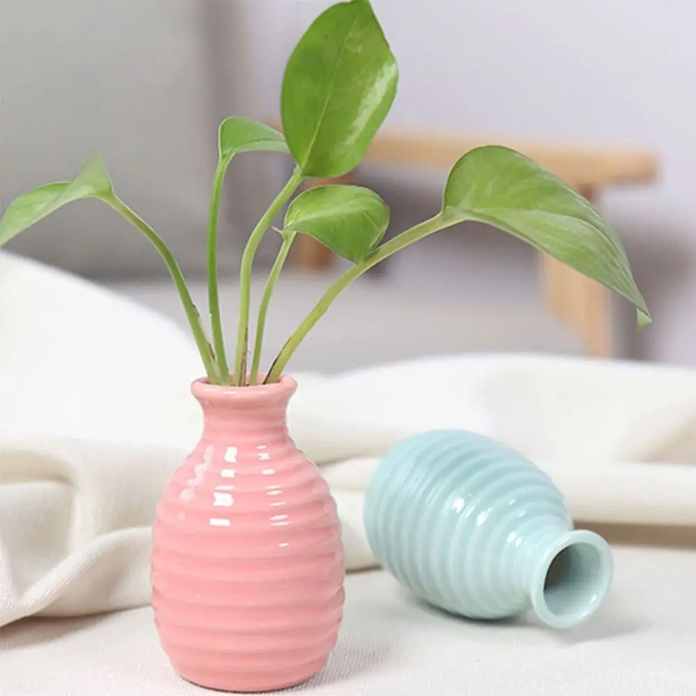 Easy to Clean Hydroponic Design Desktop Hydroponic Vase Simple Style Cute Ceramic Samll Vase Mini Garden Plant Flowerpot Bedroom