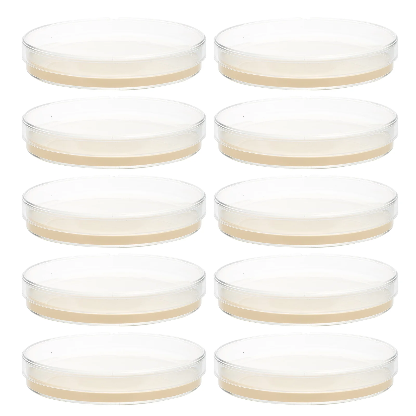 

10pcs Plates 9cm Ready to Use TSA Agar Pre-Poured Agar Plates Media Microbiology Culture Petri Dishes Science Kit