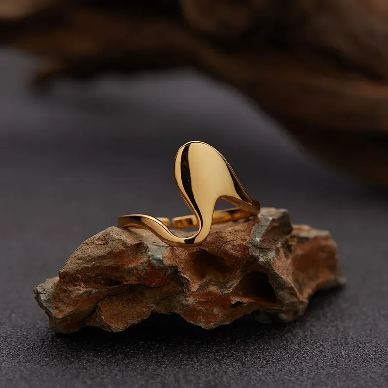 Niche abstract art geometric S925 whole body sterling silver ring plated with 18K non-fading Ins Korean version original
