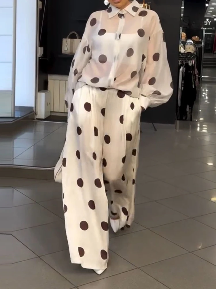 Vintage Polka Dot Loose Long Pant Set Elegant Lapel Button Shirt & Pocket Pant Outfit  Casual Long Sleeve Women Chiffon 2Pc Suit