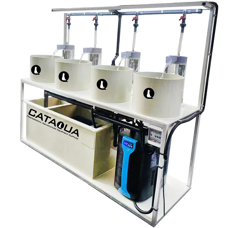 Sophisticated Fish Hatchery System Tilapia Fish Hatchery Equipment New Roe Fish s