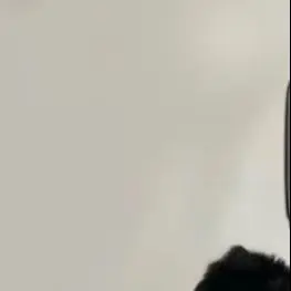 

Милый мультяшный черный кот, брелок для ключей, сумка, подвесной рюкзак, подвесные украшения, милый маленький кот, кукла, животное, автомобильный брелок, детский подарок