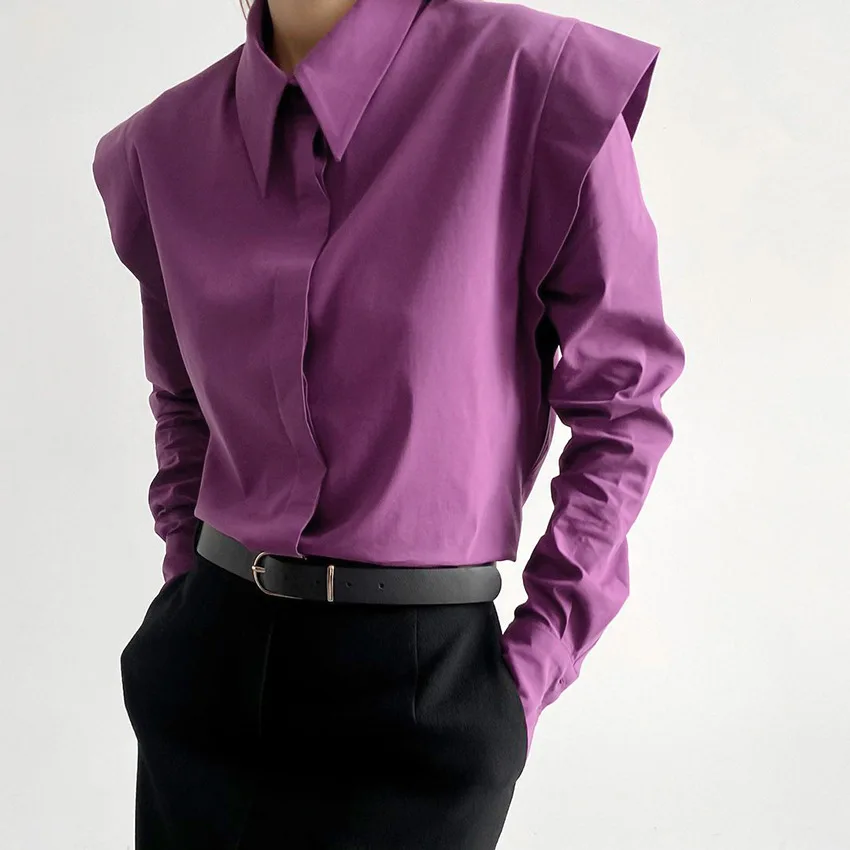 Camisa sencilla para mujer, blusa de oficina a la moda, combina con todo, estilo euroamericano, primavera y otoño, novedad de 2024