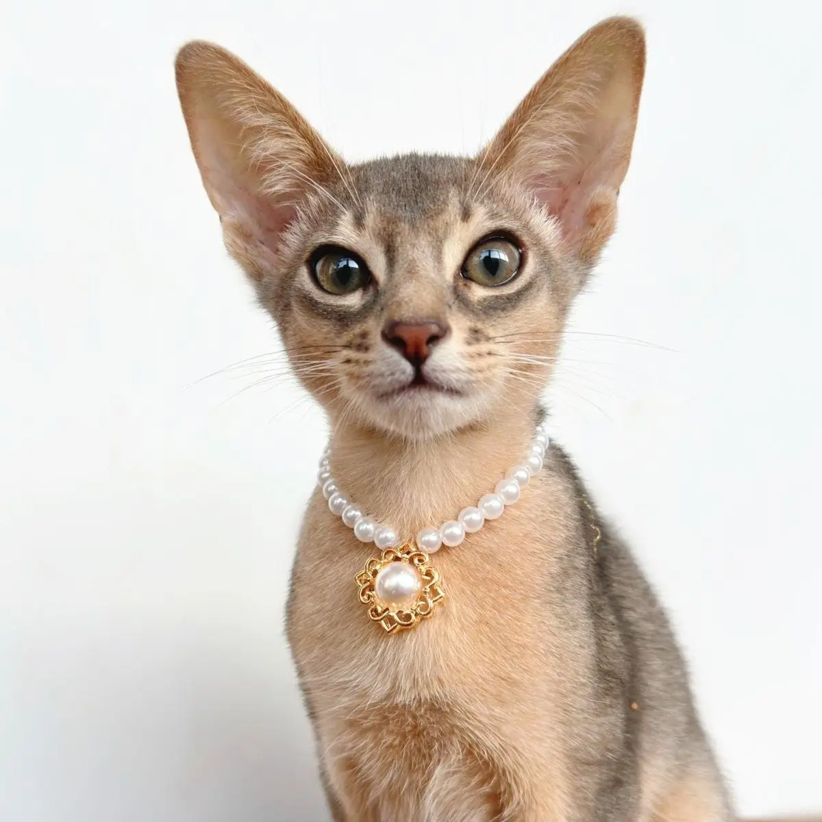 Cat Pearl Necklace Collar Pet Supplies Decoration Pet Retro Gemstone Pearl Necklace Cute and Noble