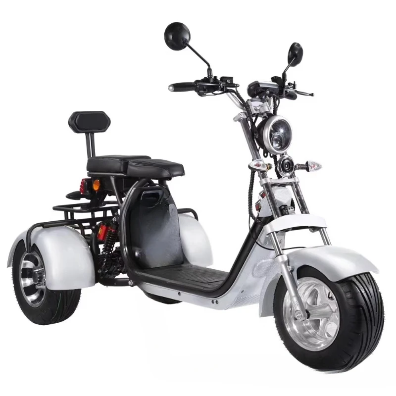 

2000W Smart 3-Wheel Motorcycle Speed 35-65km/h Smart