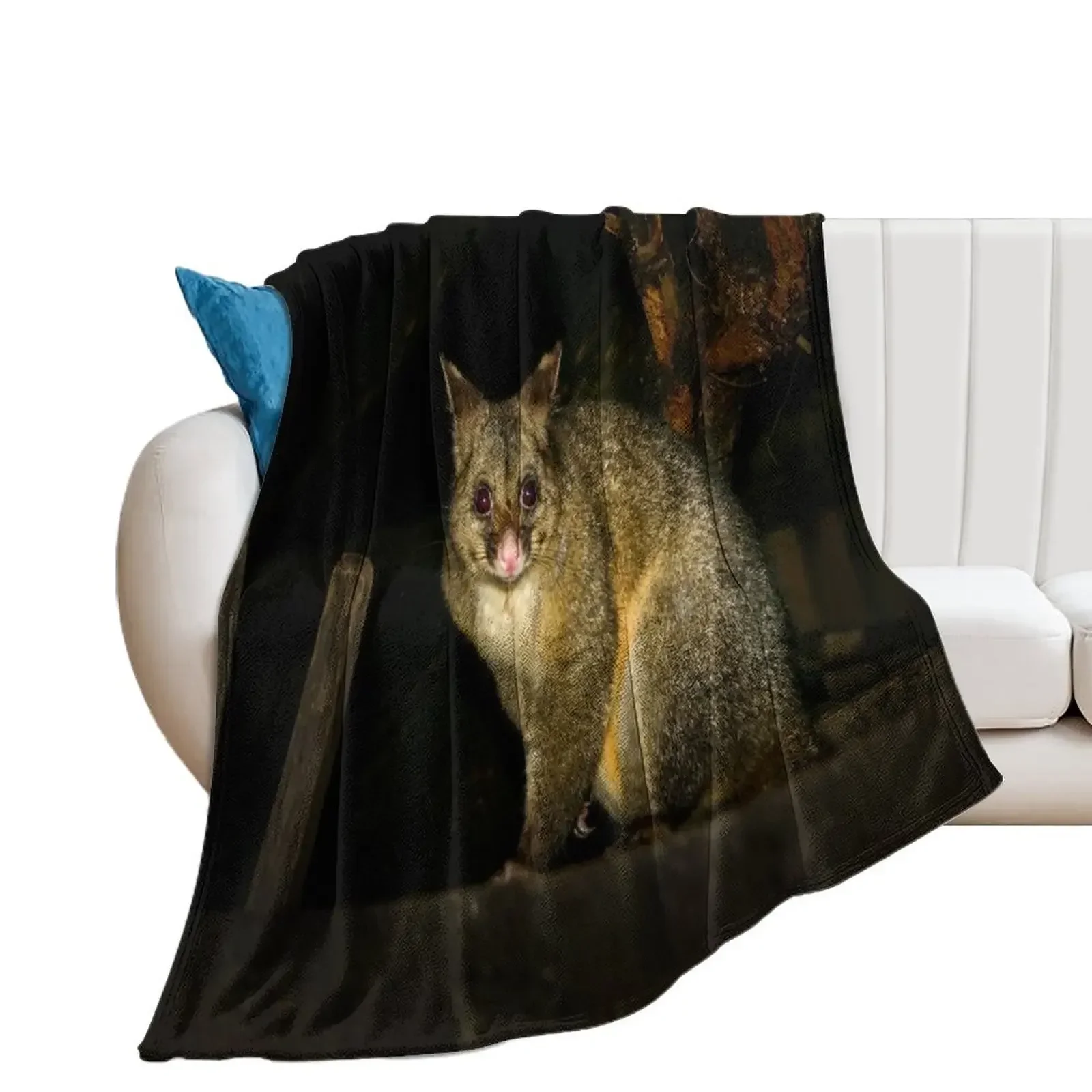 

Australian Bushtail possum at night Throw Blanket Camping Bed Fashionable Cute Soft Beds Blankets