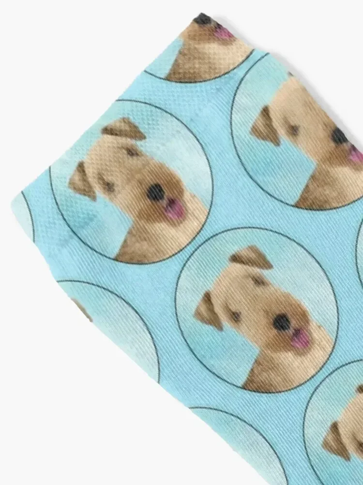 Lakeland Terrier Painting - Cute Original Dog Art Socks cute Novelties christmas gifts gym Men's Socks Luxury Women's