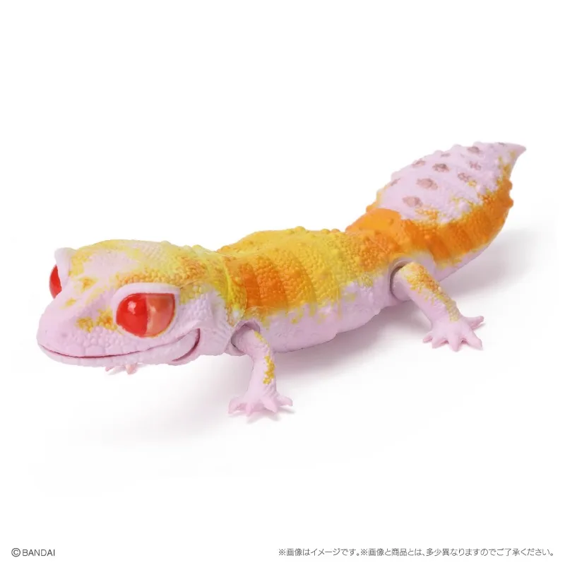 Original Bandai Gashapon Big Biological Map A Round-tailed Leopard Gecko Lizard Animal Action Figure Model Toys Gifts Collection