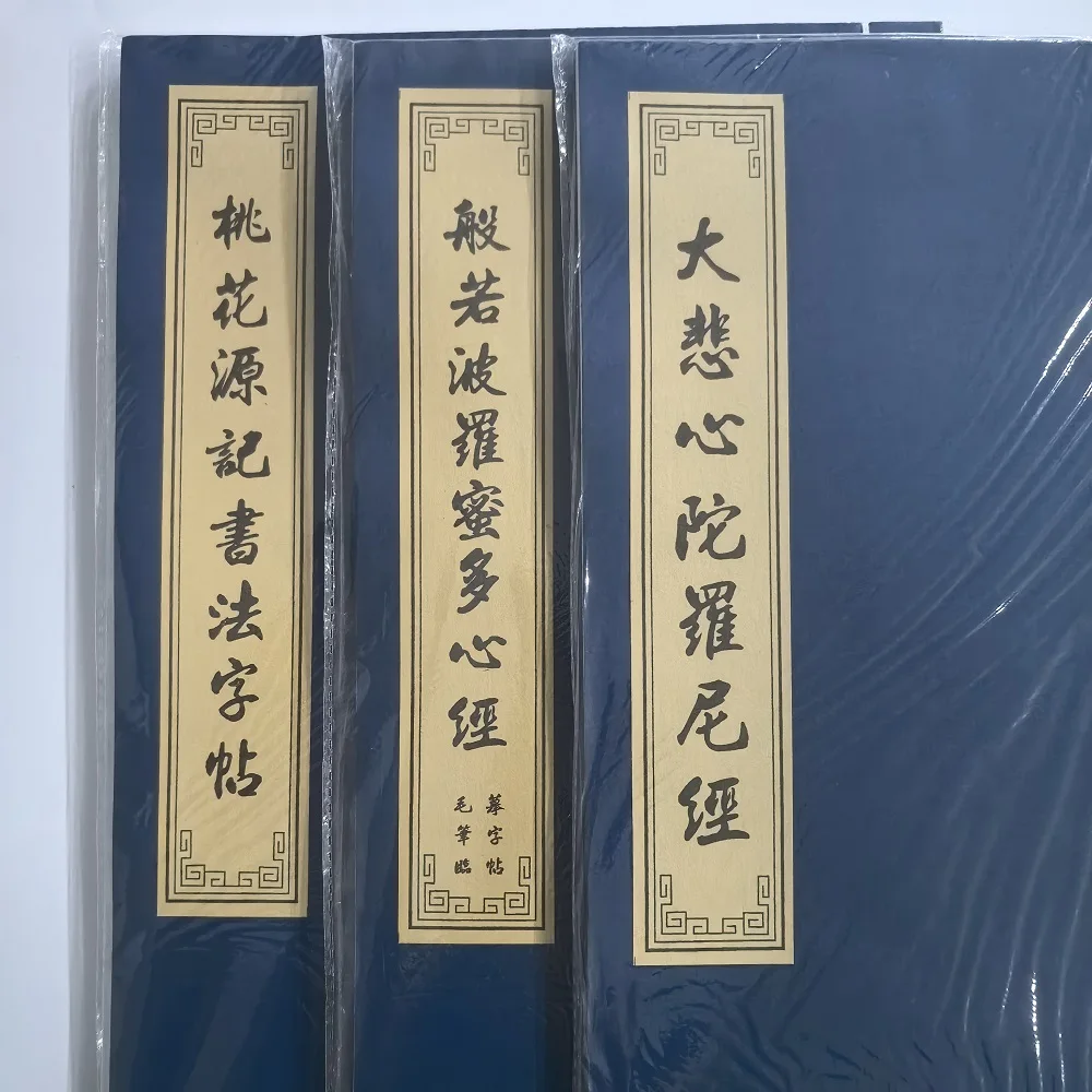 Regular Script Copying Book Chinese Calligraphy Copybook Running Script Shou Jinti Copybook Traditional Calligraphy Practice
