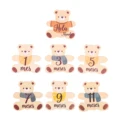 7pc Bear Spanish
