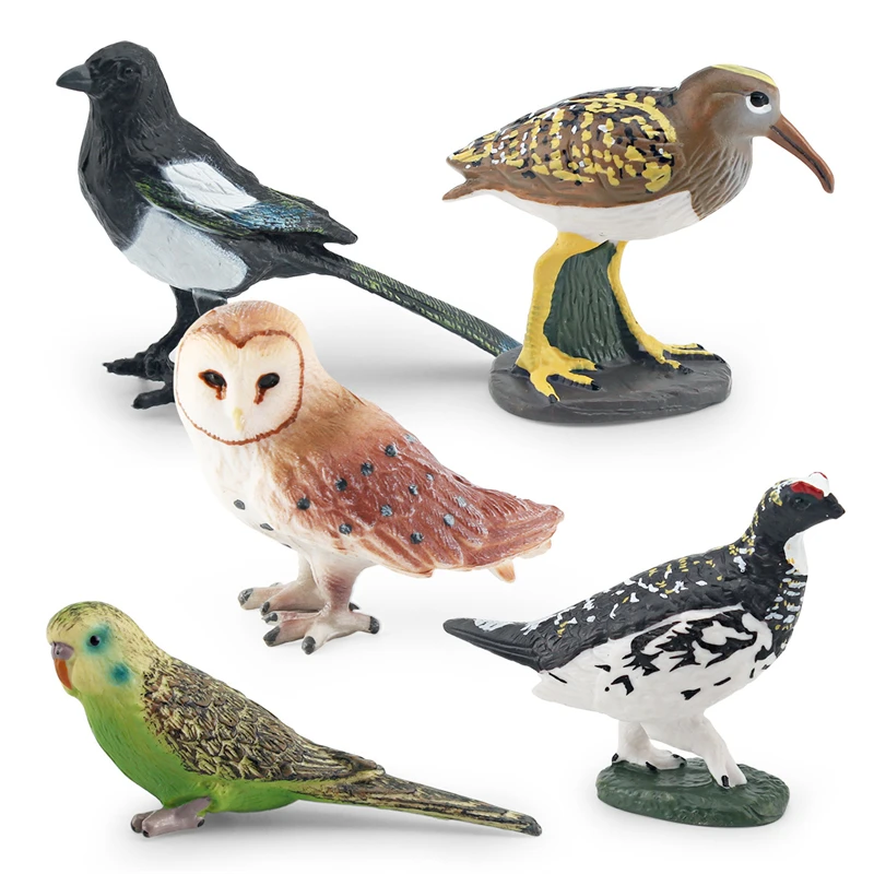 Figurine d'oiseau de forêt l'inventaire réaliste, théâtre, perroquet Toucan, aigle, modèle d'animaux, figurines d'action, jouets de renforcement pour enfants