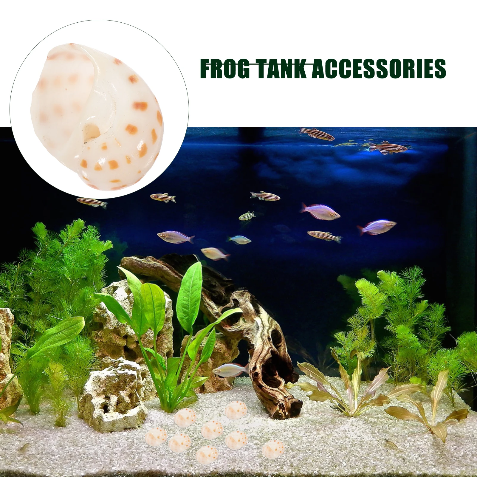 

Floating DIY Small Flower Dotted Crab Shells Conch for Aquarium Fish Tank Decoration Natural Lifelike Desktop Crafts Pond