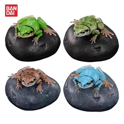 Bandai Original Premium Gashapon Animal Frog Hylachinensis ADVANCE Action Figure Toys For Kids Gift Collectible Model Ornaments