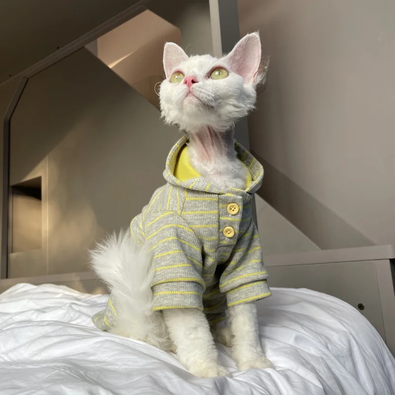 

Зеленая полосатая толстовка с капюшоном для кота-сфинкса осень с длинными рукавами, теплое пальто для дьяна Рекса, мягкий весенний костюм для котят