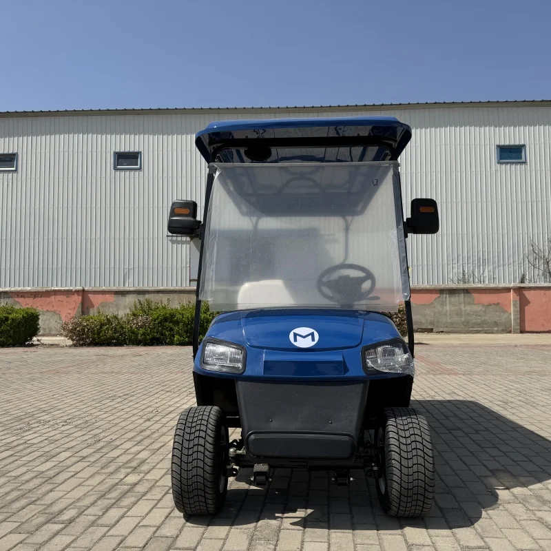 MMC McPherson Suspension 6 Person 48v 60v 72v 4000/5000/7500W Off Road Buggy Lithium Battery Solar Panels Electric Golf Cart