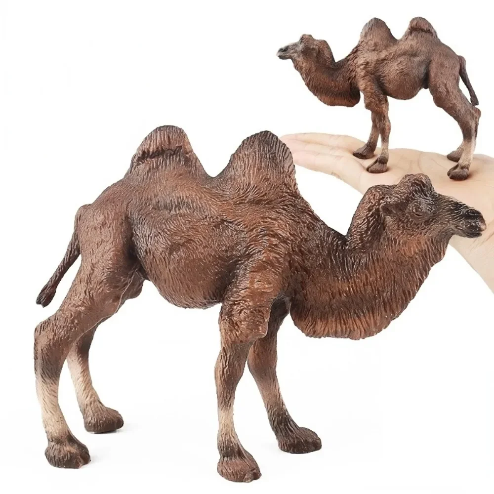 

Simulation Camel Figurine Animal Model Creative Desktop Ornaments Collection Decoration Home Decor Miniature Garden Decoration