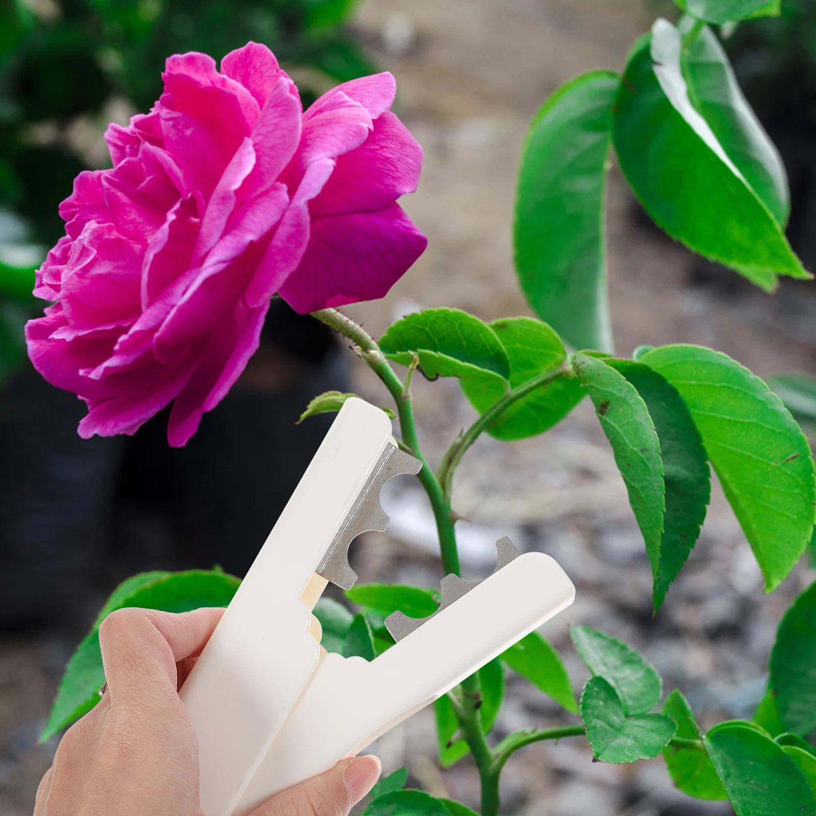 

1pcs Tool Durable Stainless Steel Rose Leaf Remover For Gardening Floral Arrangement Thorn Leaf Stripper Gardening Rose Thorn
