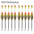 10pcs 5g