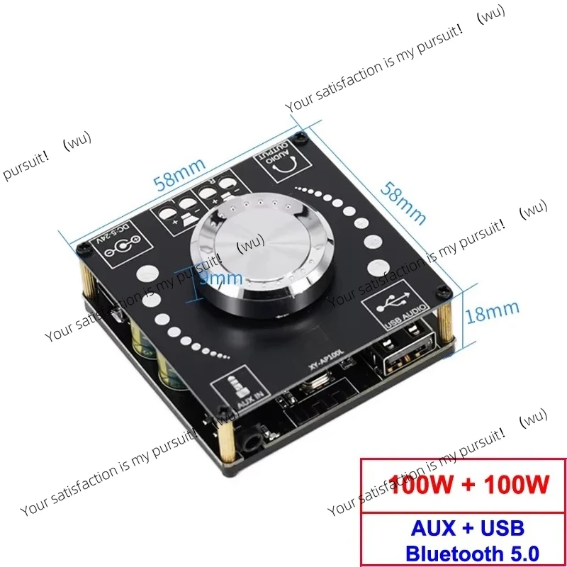 XY-AP100L 2*100W Bl… - image