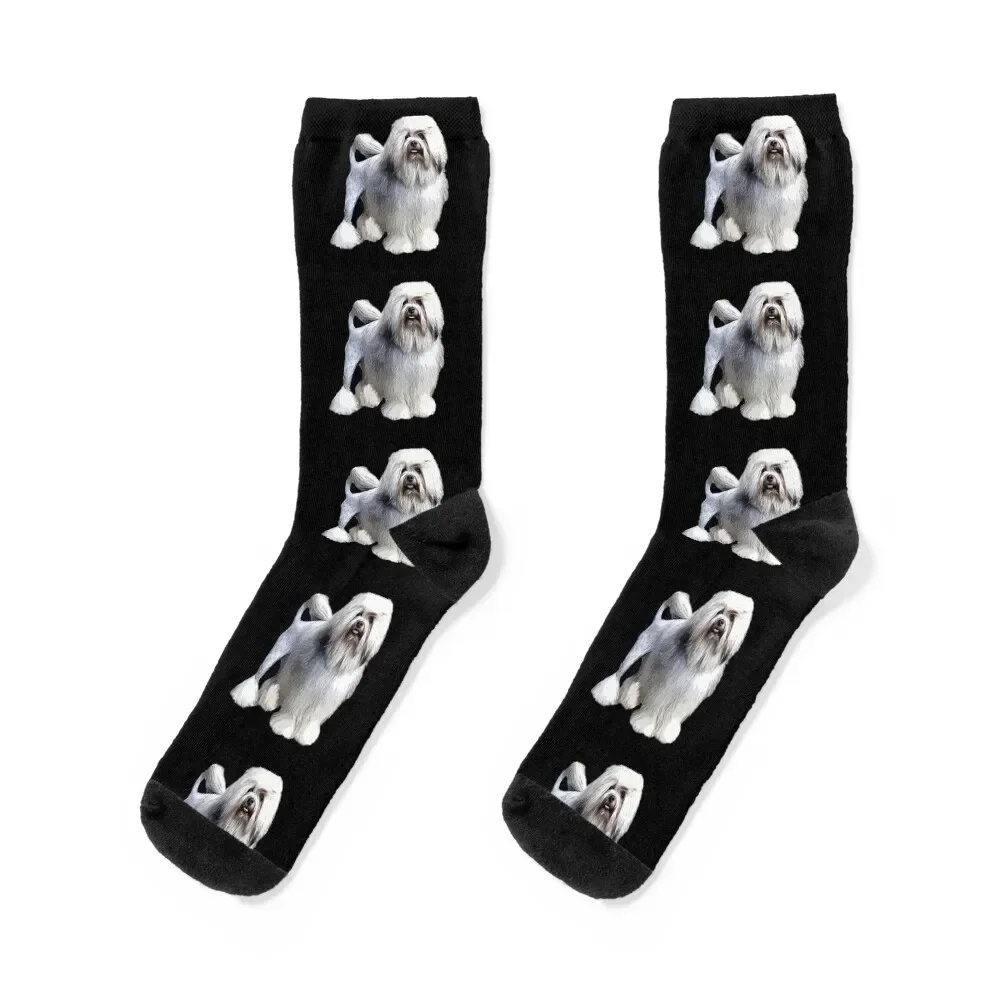 

Lowchen Little Lion Dog Socks kawaii anti slip football Non-slip Sports Socks For Men Women's