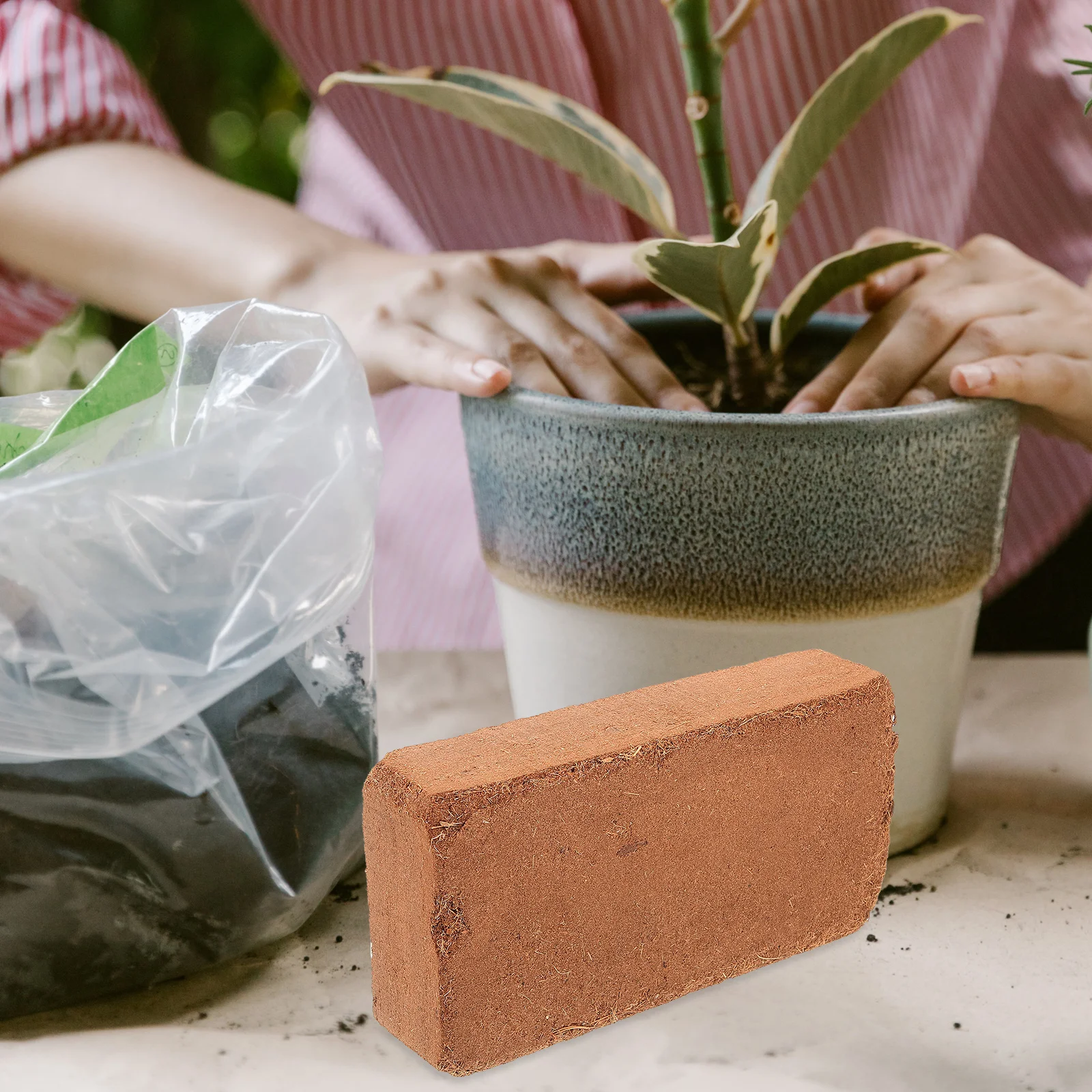 

Compressed Coconut Brick 650g for Cactus Succulents Indoor Plants Nutrient Block Expanding Soil Biodegradable