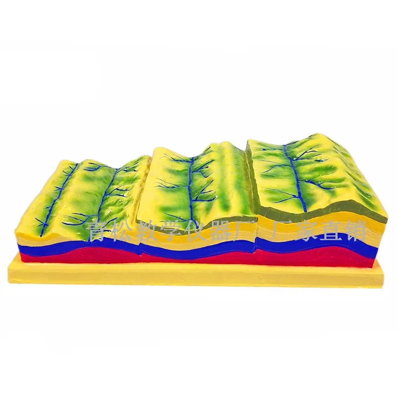 Crustal Changes Demonstrator Model Geography Geological Movement Geomorphology Teaching Tool Scene Props for Children or Kids