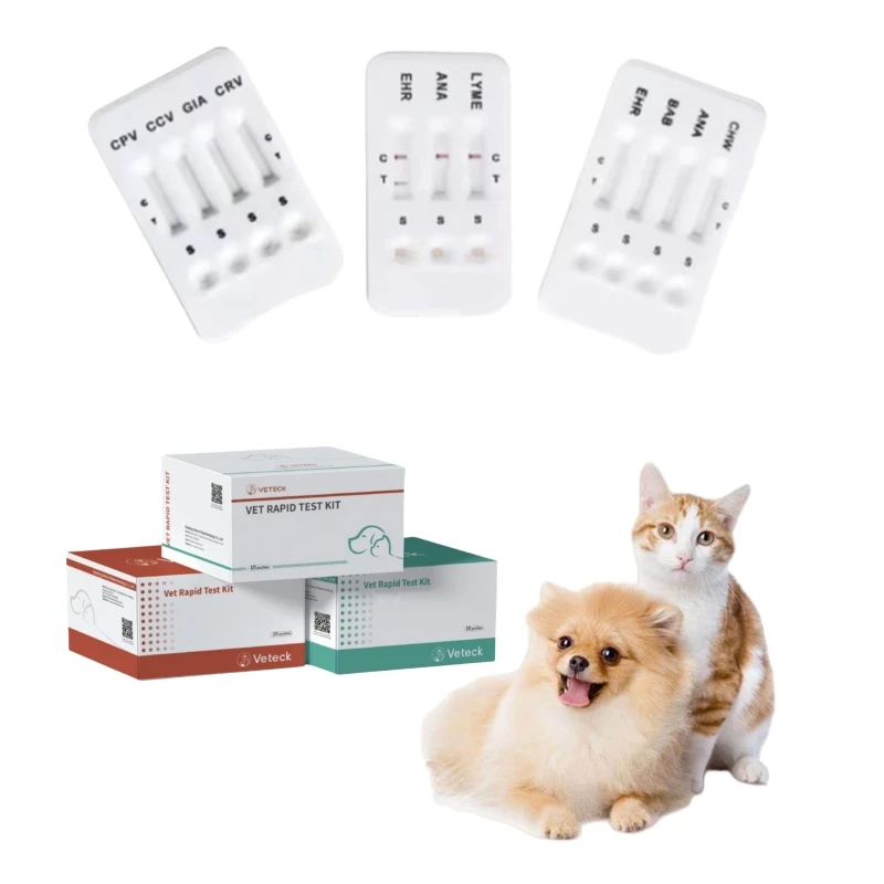 Antibody Test Kit Veterinary Diagnostic Equipment For Heartworm Diagnosis - Image 3