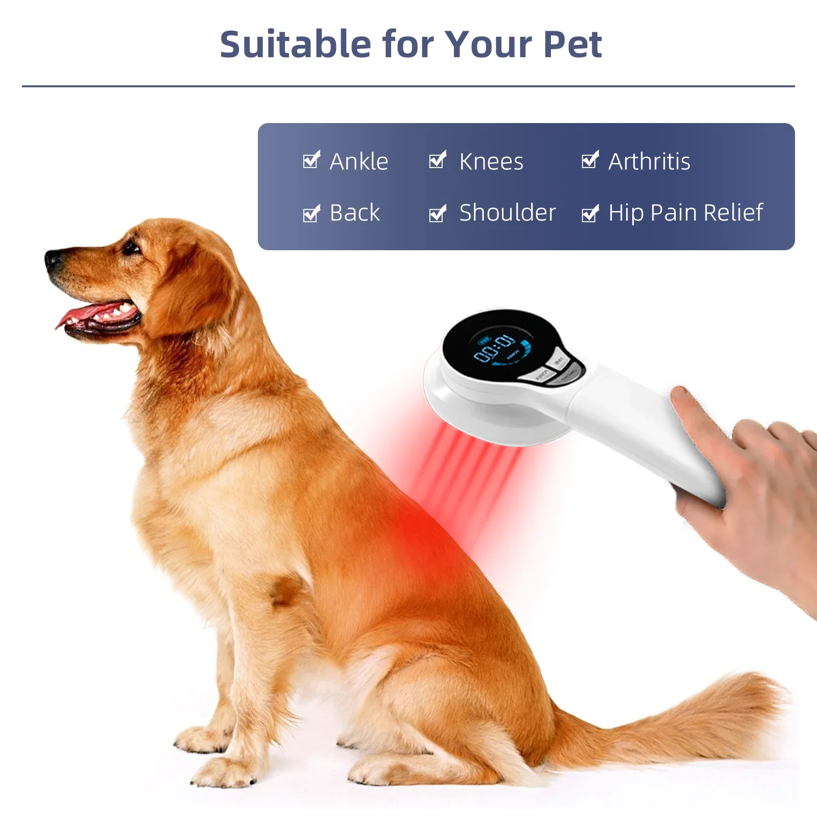 Wellness And Health Medical Equipments Remedy Pet Joint Pain lllt Physiotherapy Equipment For Veterinary