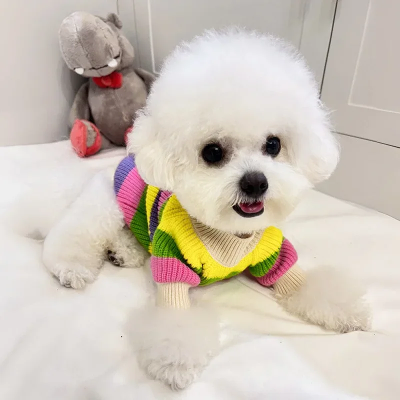 Dog Stripe Rainbow Clothes Autumn Wear Small Dog Maltese Yorkshire Bears Pet Cat Sweater Dog Clothes for Small Dogs