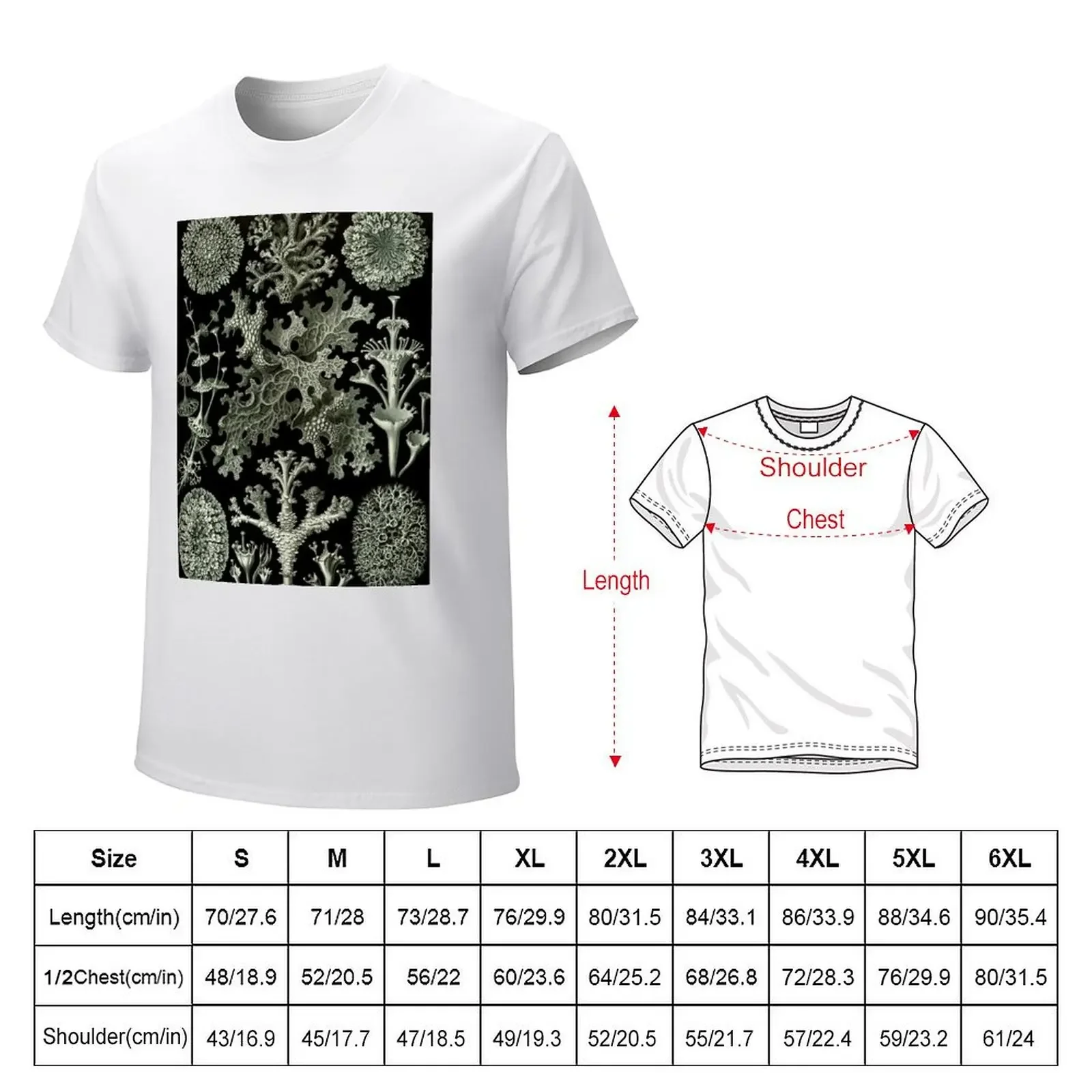 Natural History Lichen T-Shirt graphic t shirt vintage vintage oversized summer tops men t shirts high quality