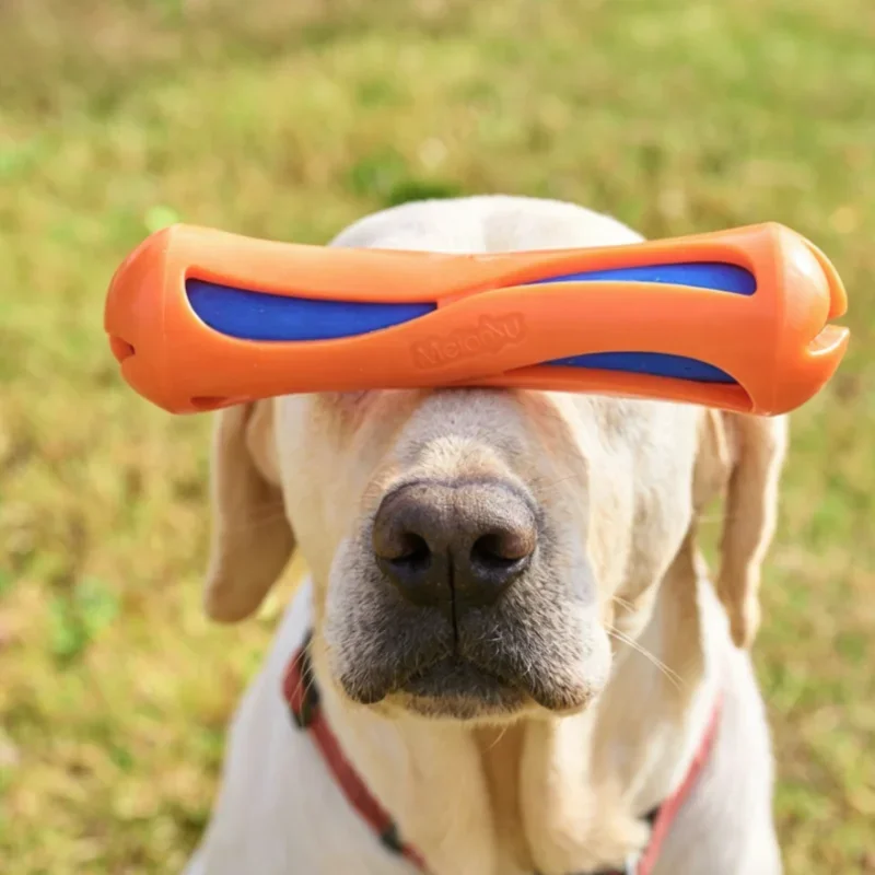 Thumbnail 2 - #31 Highest Rated Rubber Dog Toys to Buy in 2026