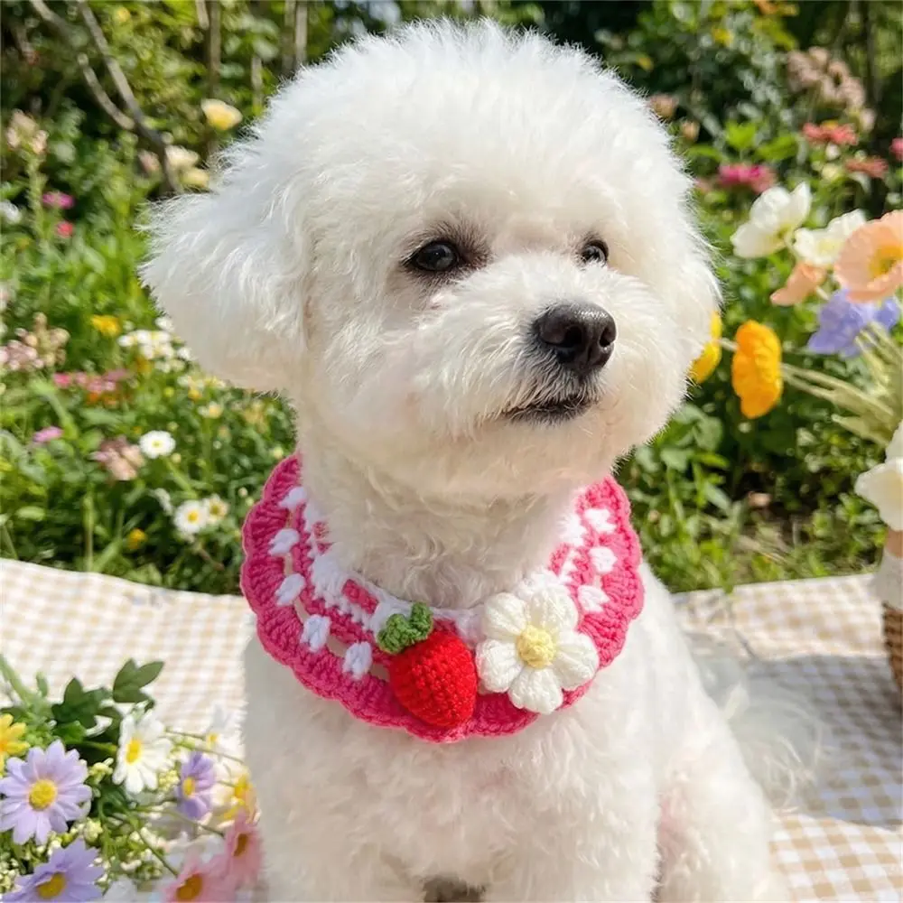 

Cute Adjustable Flower Pet Scarf Bib Sweet Decorative Knitted Cat Scarf Handmade Cozy Cat Woven Bib Spring Collection