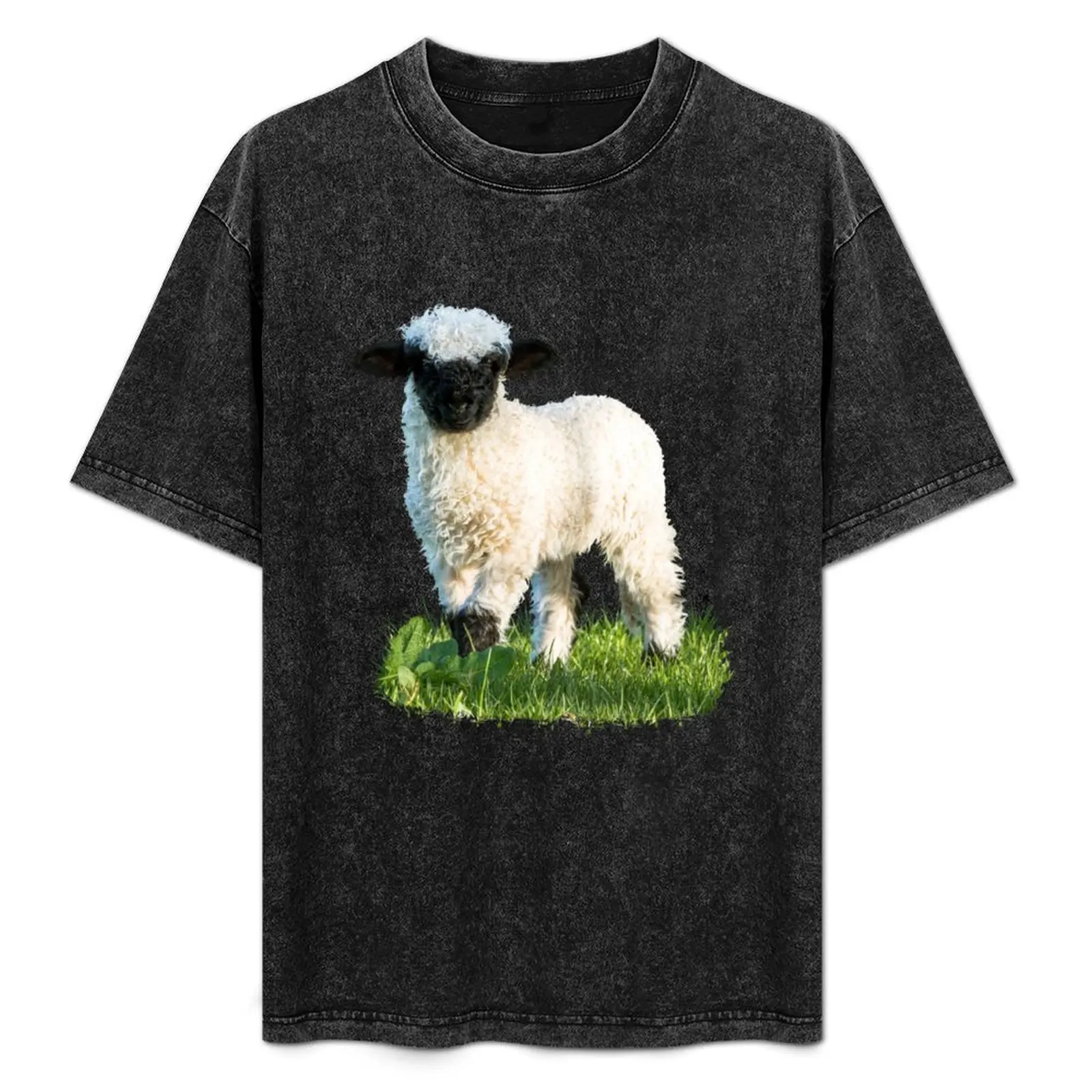 Valais Blacknose Lamb in a Meadow T-Shirt quick drying anime stuff plus size clothes clothes for men