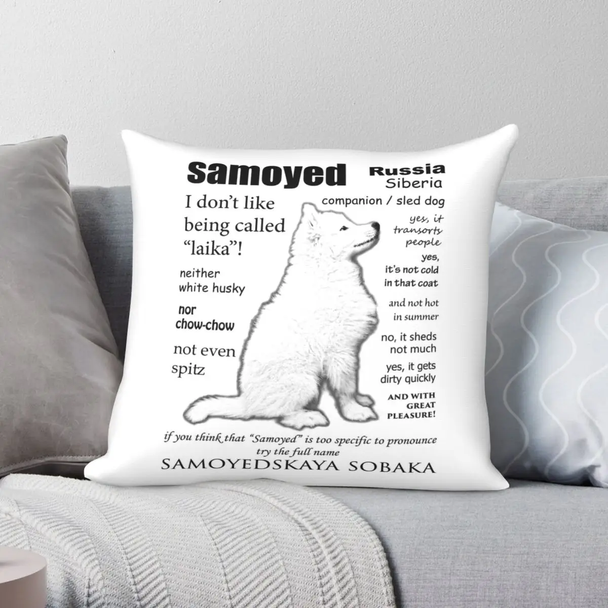 

Samoyed FAQ Square Pillowcase Polyester Linen Velvet Creative Zip Decor Pillow Case Home Cushion Case Wholesale 18"