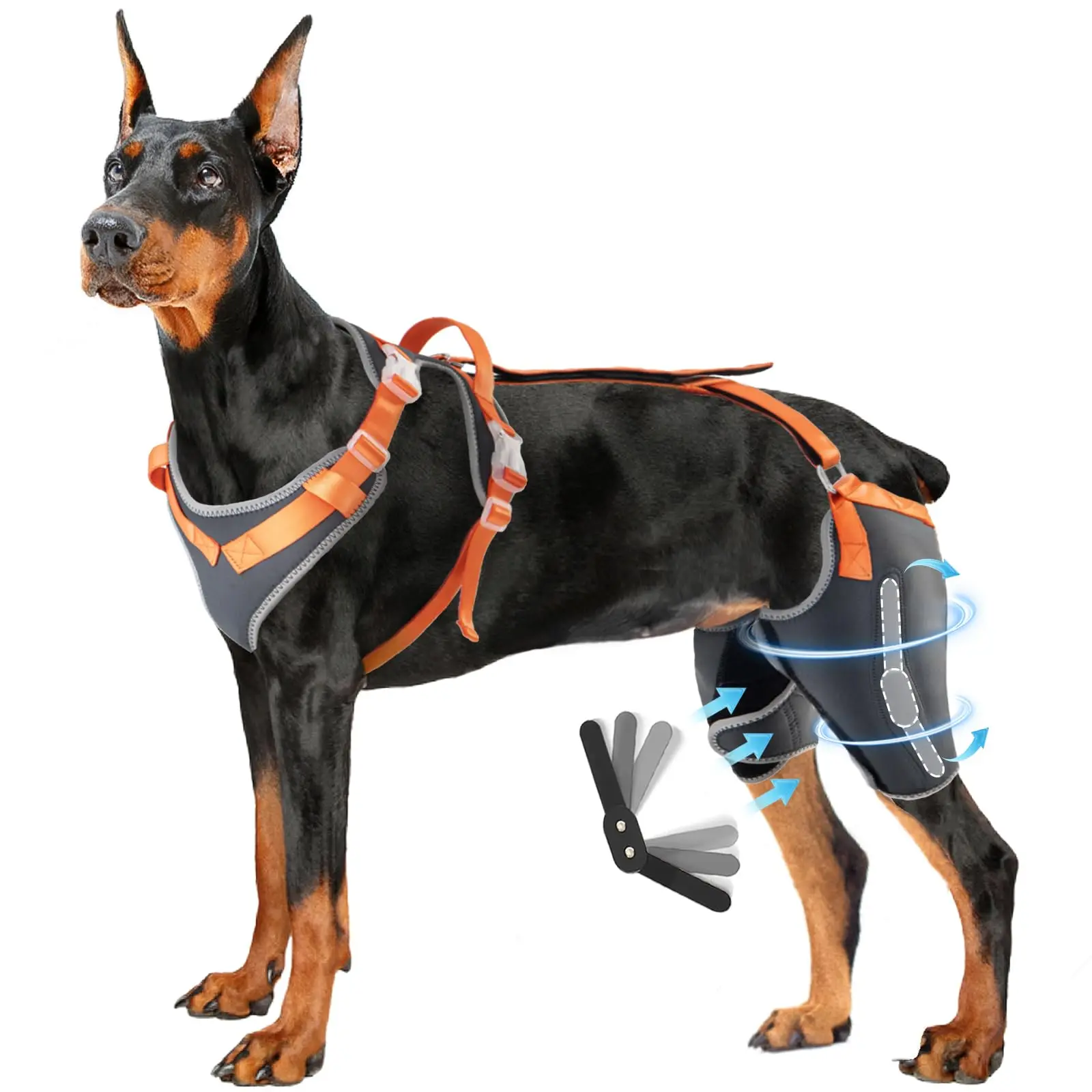 

China Factory Dog Knee Support Brace Tactical Type for ACL/CCL Injuries Metal Splint Hinge for Back Leg Protection