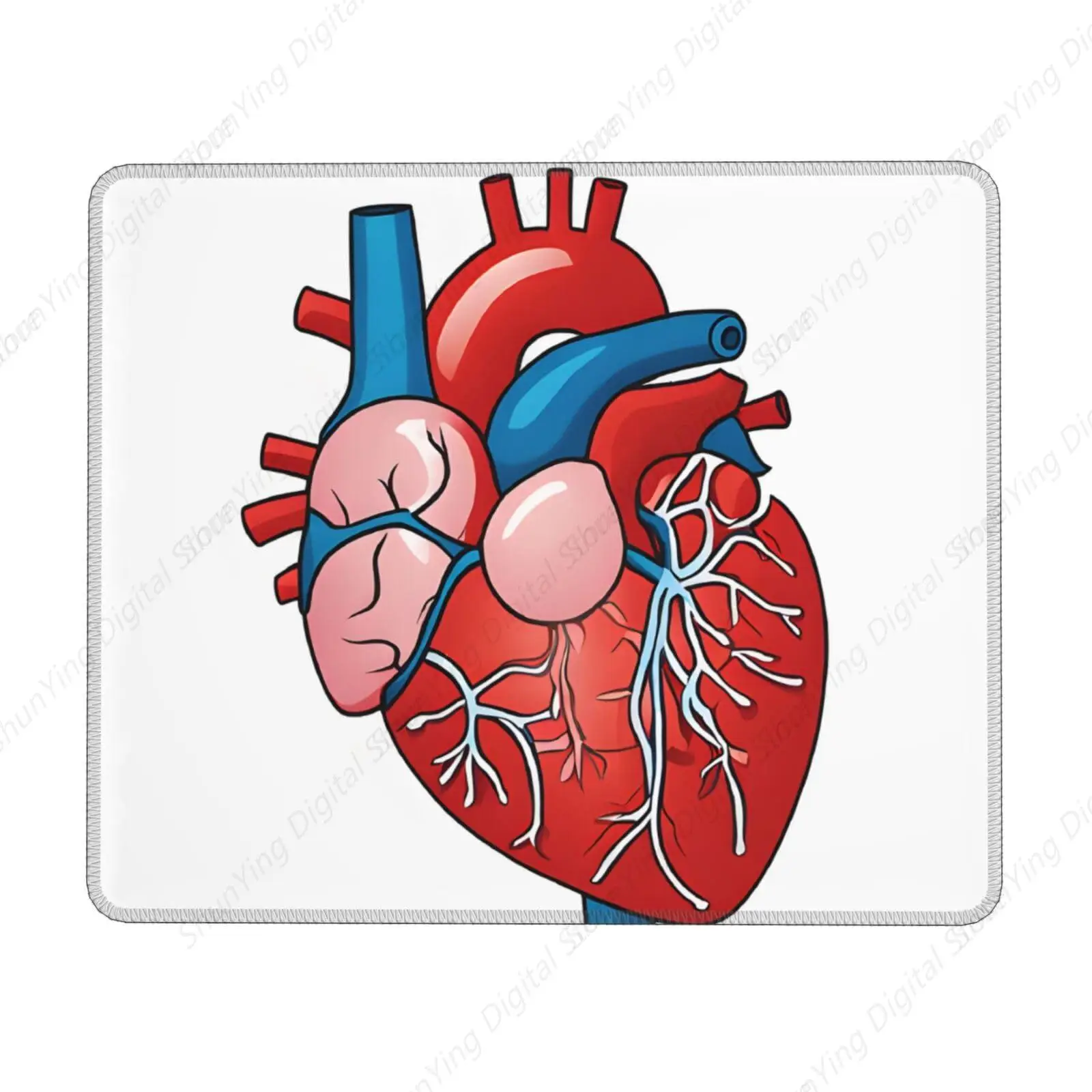 Mouse Pad For Human Anatomy Heart Diagram Non Slip Rubber Base Mouse Pad Suitable For Gaming Office Laptops 18*22cm