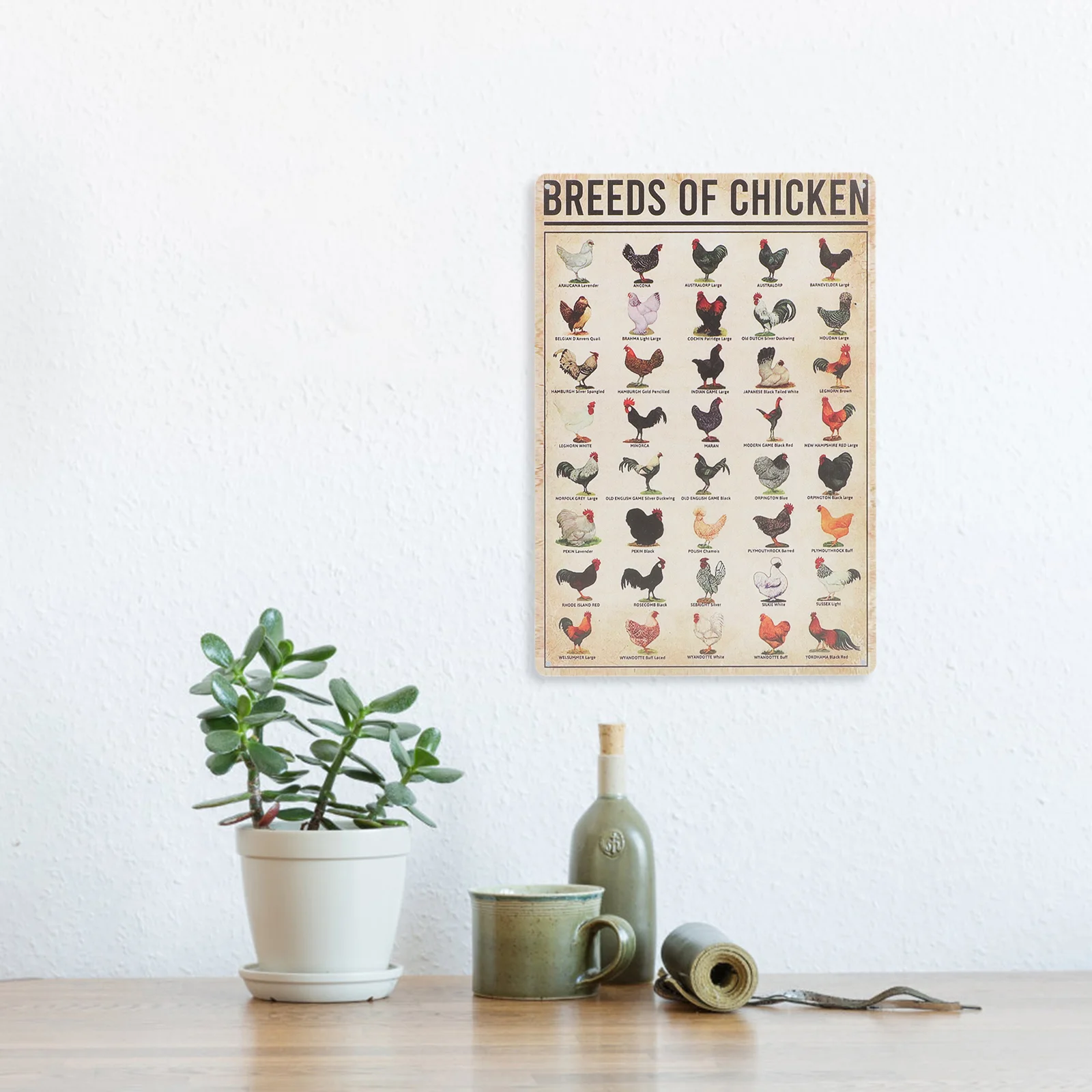 

Wall Craft Decor Chicken Knowledge Poster Metal Craft Sign Vintage Craft Knowledge Sign Vintage Sign Metal Wall Craft Decoration