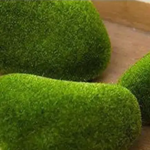 8 best sales konstgjord mossa - №6