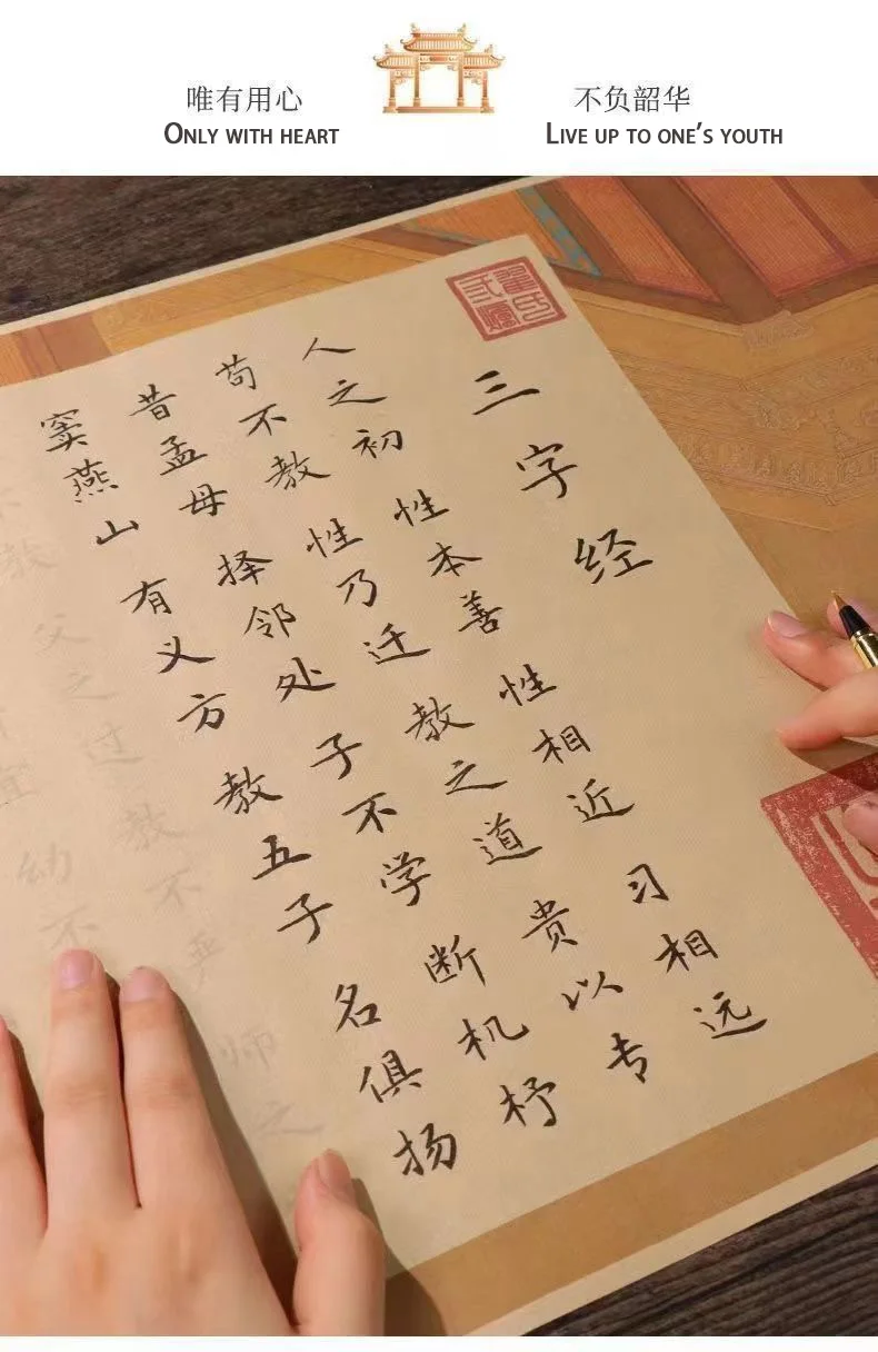 Chinesische Klassiker: Drei-Zeichen-Buch-Set, handgeschrieben, langes Band (inkl. Stift und Tinte) – Kalligrafie zum Nachschreiben chinesischer Klassiker – Detail 3