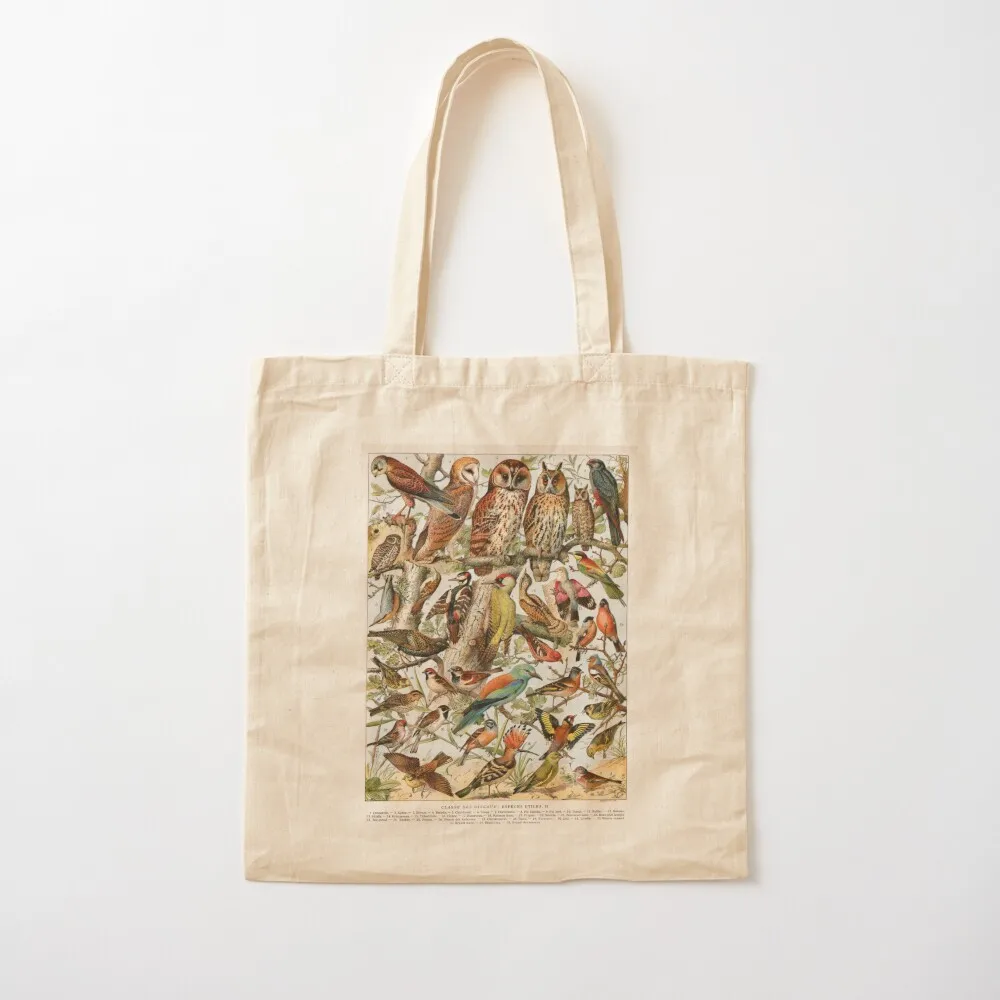 

Adolphe Millot - Oiseaux espèces utiles 02 - French vintage ornithology poster Tote Bag large size bags Canvas Tote Bag