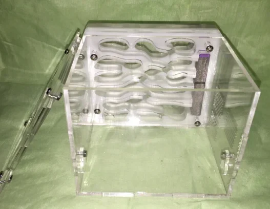 1PCS Acrylic Ant Ne… - image