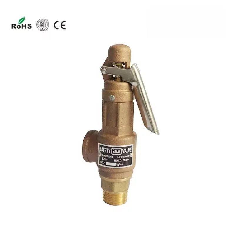 

NEW COVNA DN50 2 Inch NPT / BSPT Thread Brass Bronze Boiler Steam Safety Relief Valve with Lever