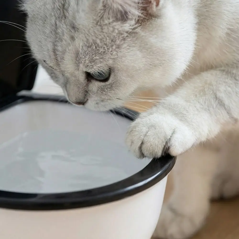 

Поилка для животных в форме унитаза, съемная, 650 мл, миска для воды для кошек, имитация унитаза с крышкой, фонтанчик для кошек и собак