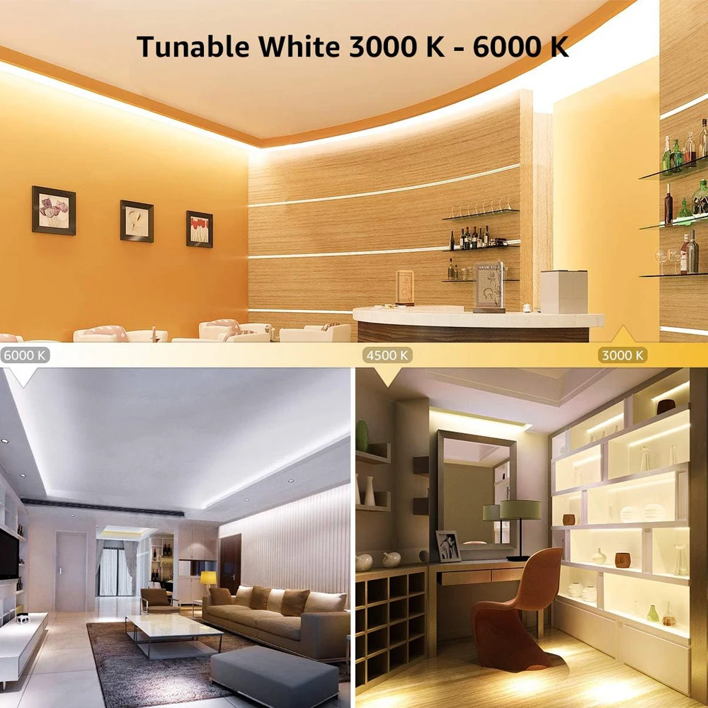 Tuya Zigbee 2CH LED Controller DC 12V 24V Smart Dimmer con Dimmer Push 4 Zone RF 2.4G telecomando per WW CW CCT LED Strip