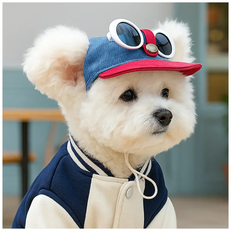 Two-piece fashionable pet sun hat and cool sunglasses set, dog baseball cap and cat head cover